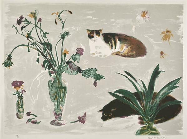 Cats and Flowers (1980)