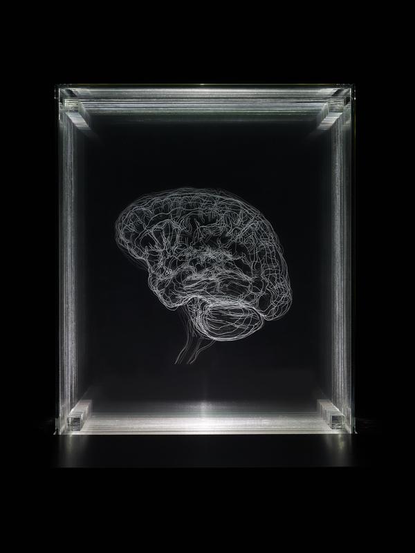 Brain of the Artist (2012)